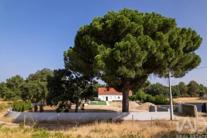 Moradia T3 para Venda em Azeitão (São Lourenço e São Simão)