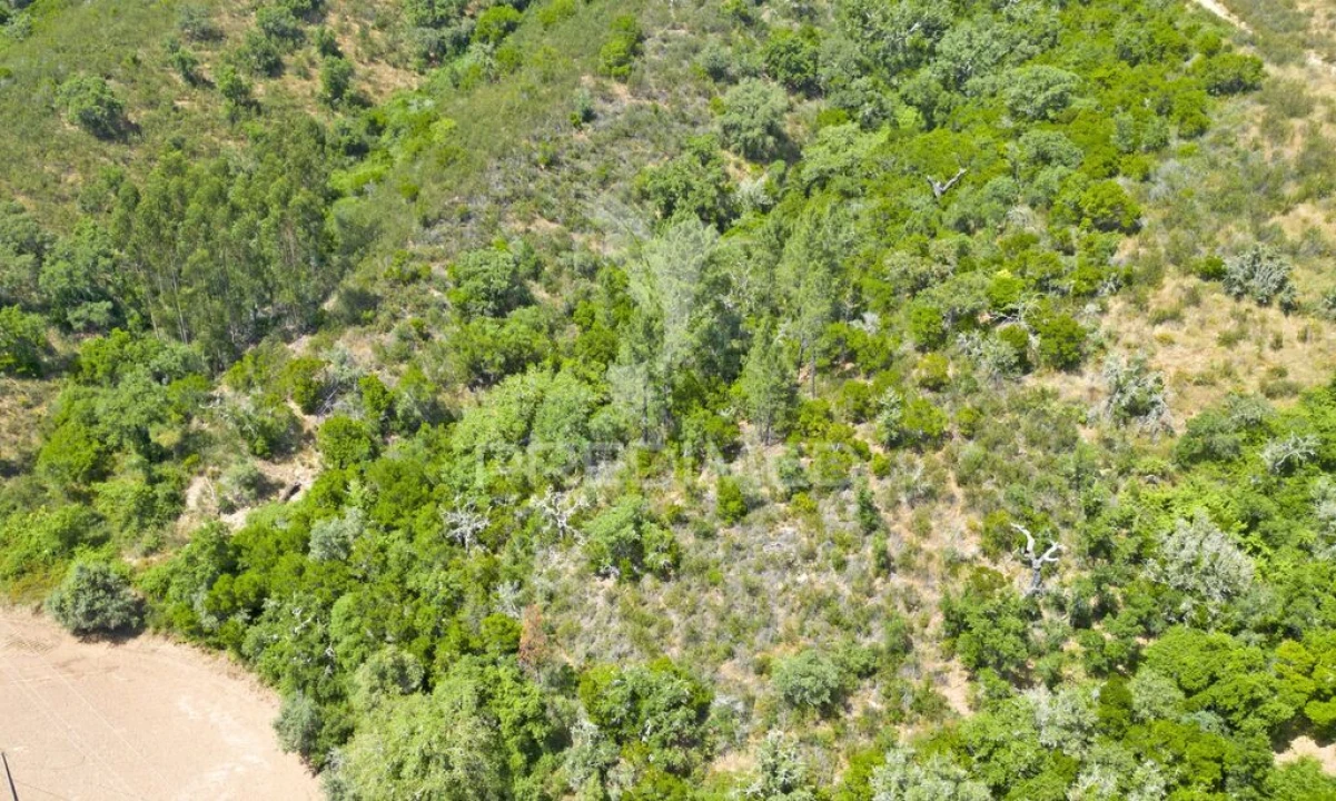 Quinta T3 para Venda em São Salvador e Santa Maria Foto 19