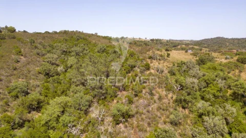 Quinta T3 para Venda em São Salvador e Santa Maria