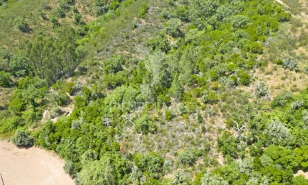 Quinta T3 para Venda em São Salvador e Santa Maria