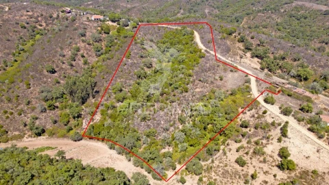 Quinta T3 para Venda em São Salvador e Santa Maria