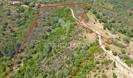 Quinta T3 para Venda em São Salvador e Santa Maria