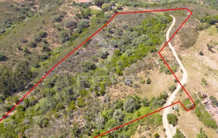 Quinta T3 para Venda em São Salvador e Santa Maria