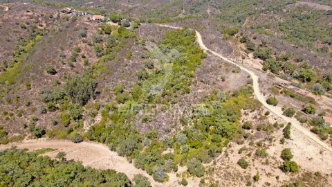 Quinta T3 para Venda em São Salvador e Santa Maria