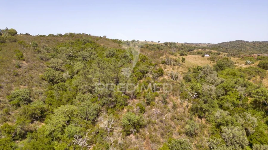 Quinta T3 para Venda em São Salvador e Santa Maria Foto 18