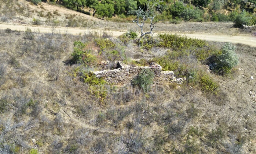 Quinta T3 para Venda em São Salvador e Santa Maria Foto 4
