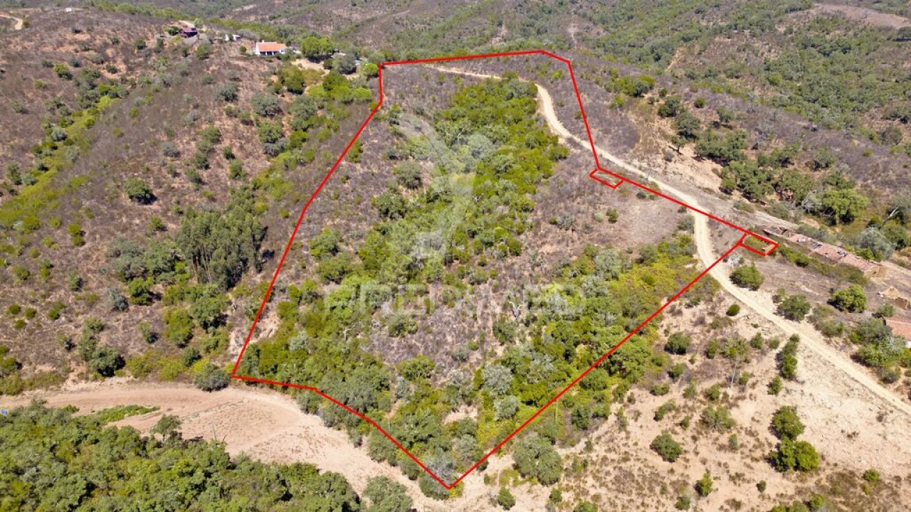 Quinta T3 para Venda em São Salvador e Santa Maria Foto 11