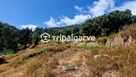 Terreno para Venda em Alferce