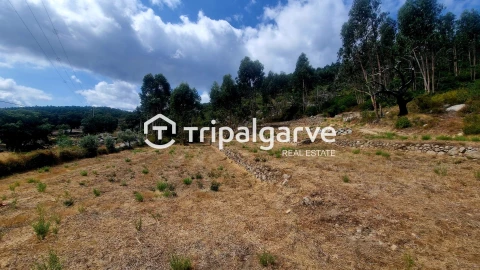 Terreno para Venda em Alferce