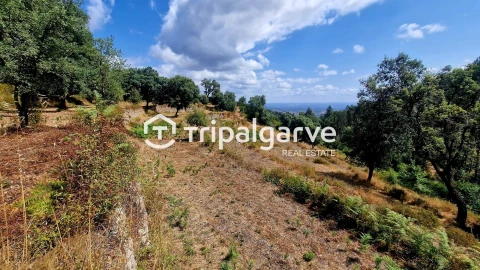 Terreno para Venda em Alferce