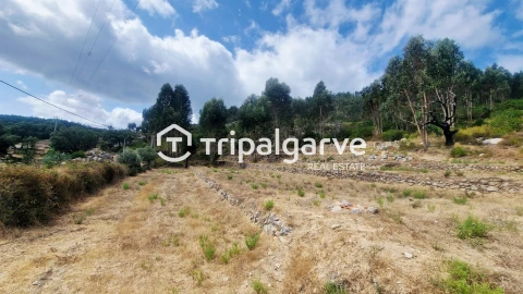 Terreno para Venda em Alferce