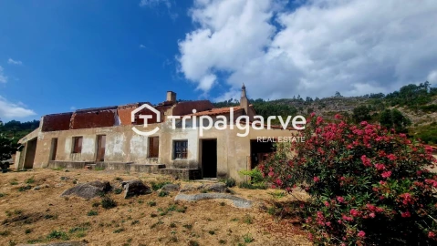 Terreno para Venda em Alferce