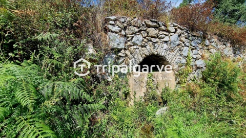 Terreno para Venda em Alferce