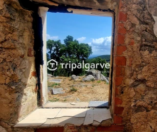 Terreno para Venda em Alferce