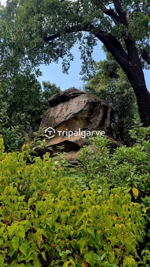 Terreno para Venda em Alferce