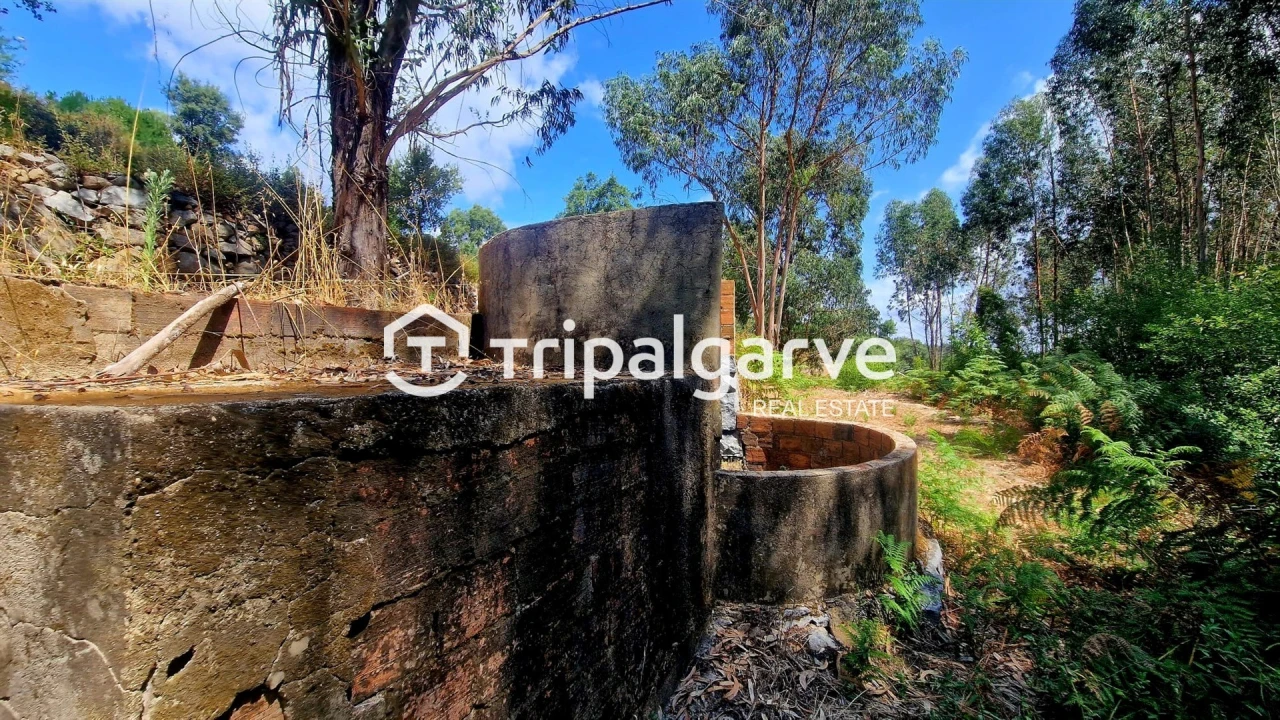 Terreno para Venda em Alferce Foto 35