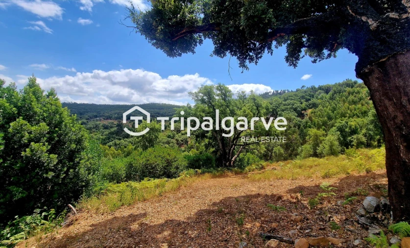 Terreno para Venda em Alferce Foto 25