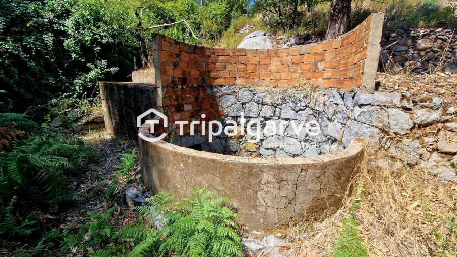 Terreno para Venda em Alferce Foto 33