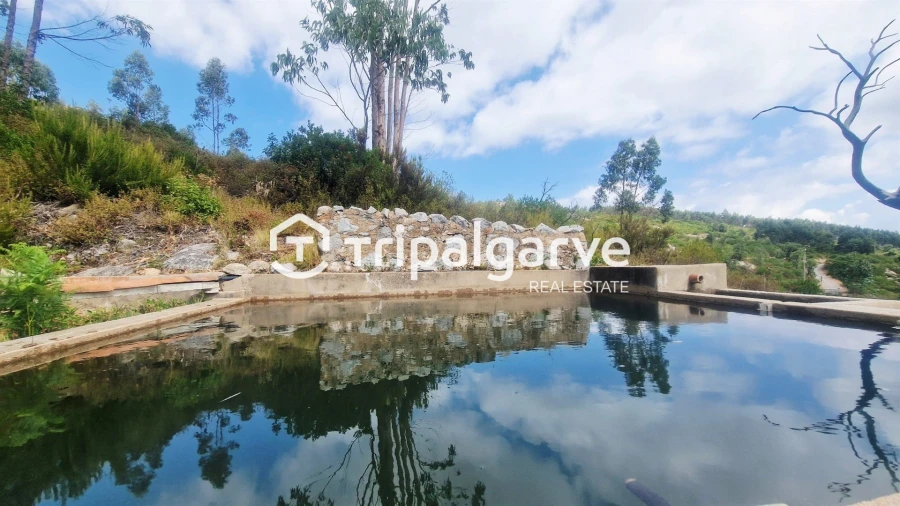 Terreno para Venda em Alferce Foto 46