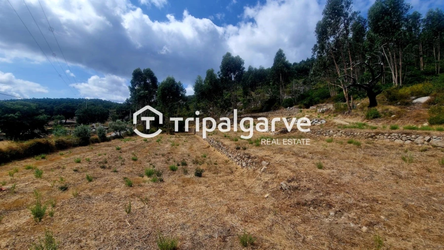 Terreno para Venda em Alferce Foto 48
