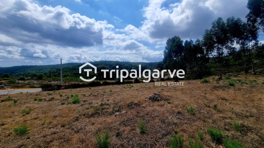 Terreno para Venda em Alferce Foto 47