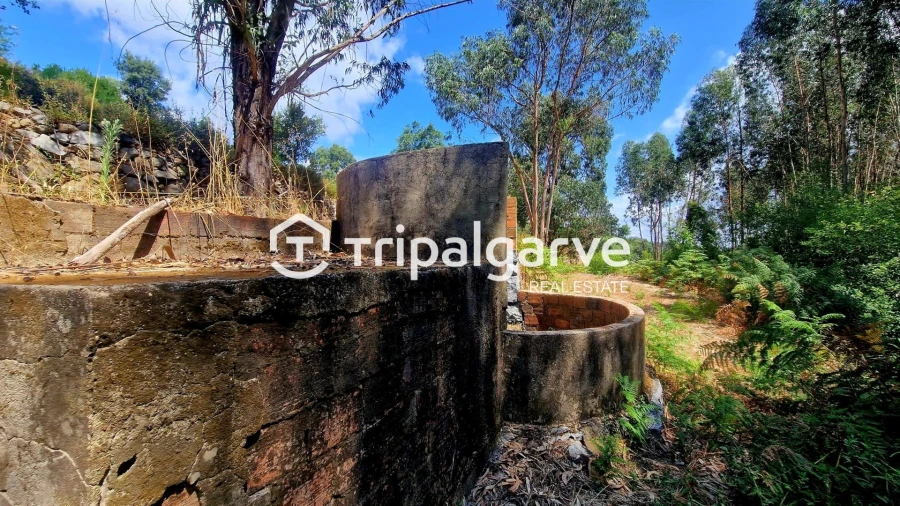 Terreno para Venda em Alferce Foto 35