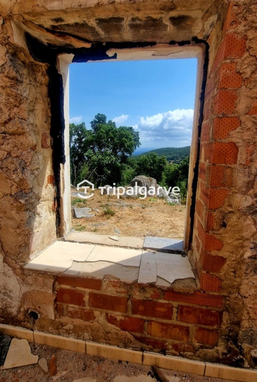 Terreno para Venda em Alferce Foto 5