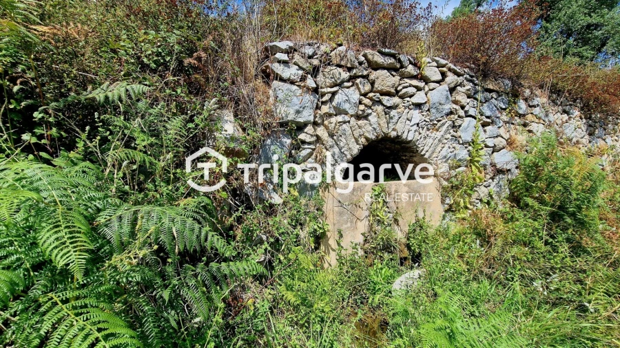 Terreno para Venda em Alferce Foto 36