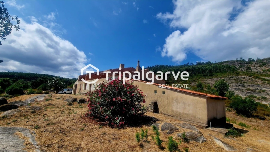 Terreno para Venda em Alferce Foto 7