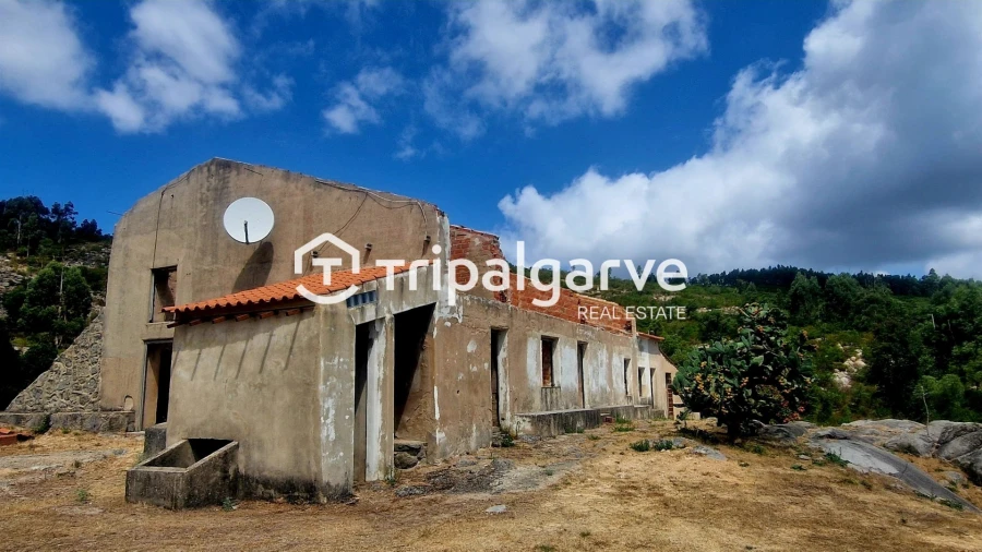 Terreno para Venda em Alferce Foto 18