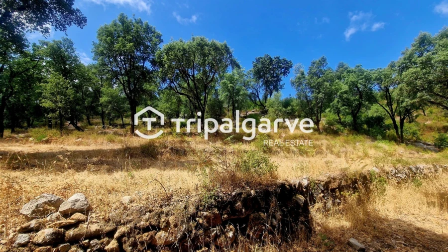 Terreno para Venda em Alferce Foto 22