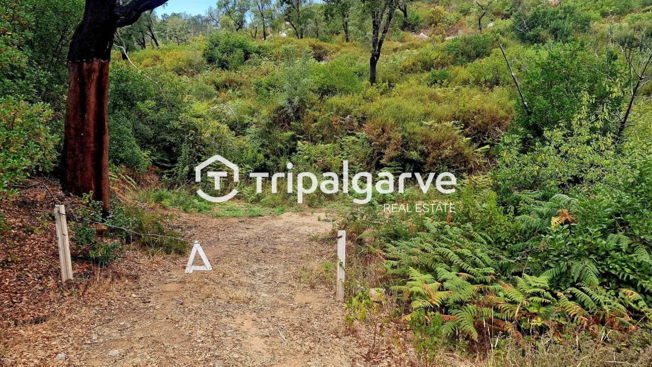 Terreno para Venda em Alferce Foto 24