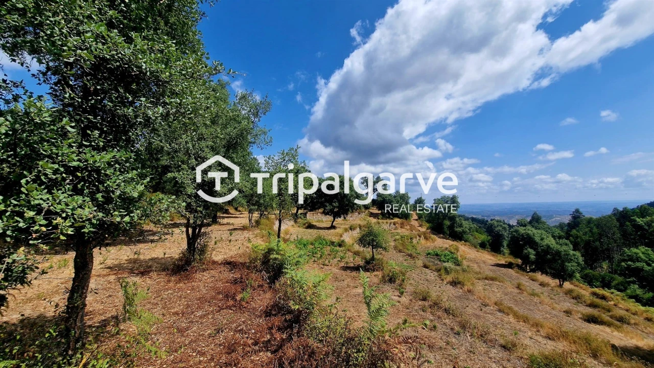 Terreno para Venda em Alferce Foto 40