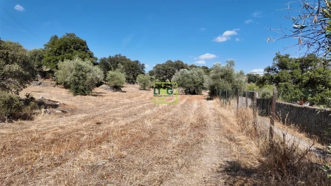 Moradia T3 para Venda em Monfortinho e Salvaterra do Extremo