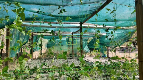 Moradia T3 para Venda em Monfortinho e Salvaterra do Extremo