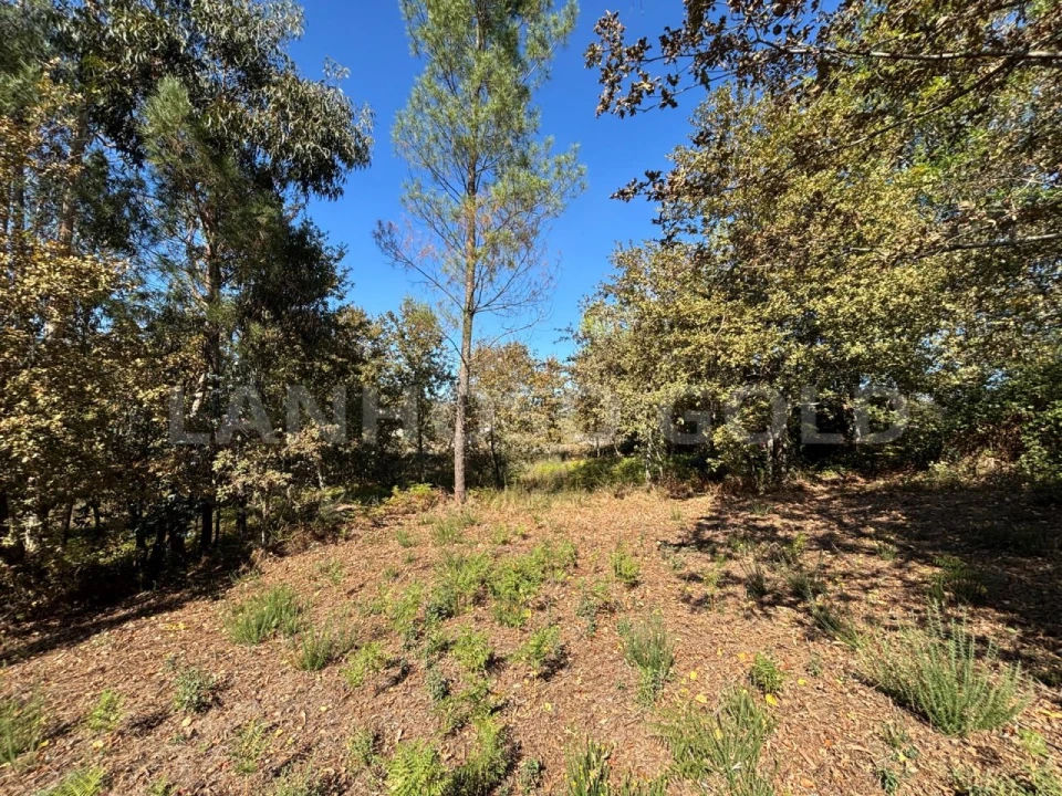 Terreno para Venda em Verim, Friande e Ajude Foto 1