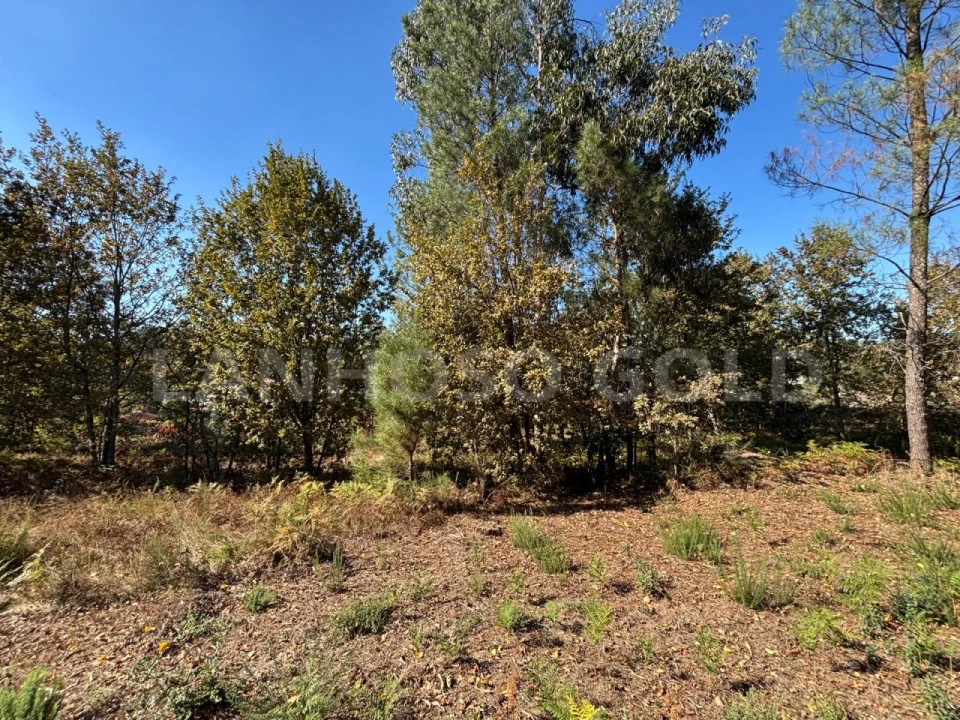 Terreno para Venda em Verim, Friande e Ajude Foto 3