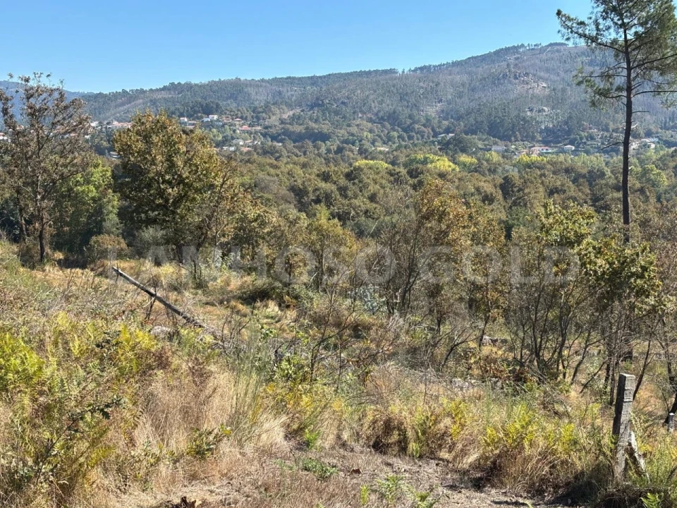 Terreno para Venda em Verim, Friande e Ajude Foto 8