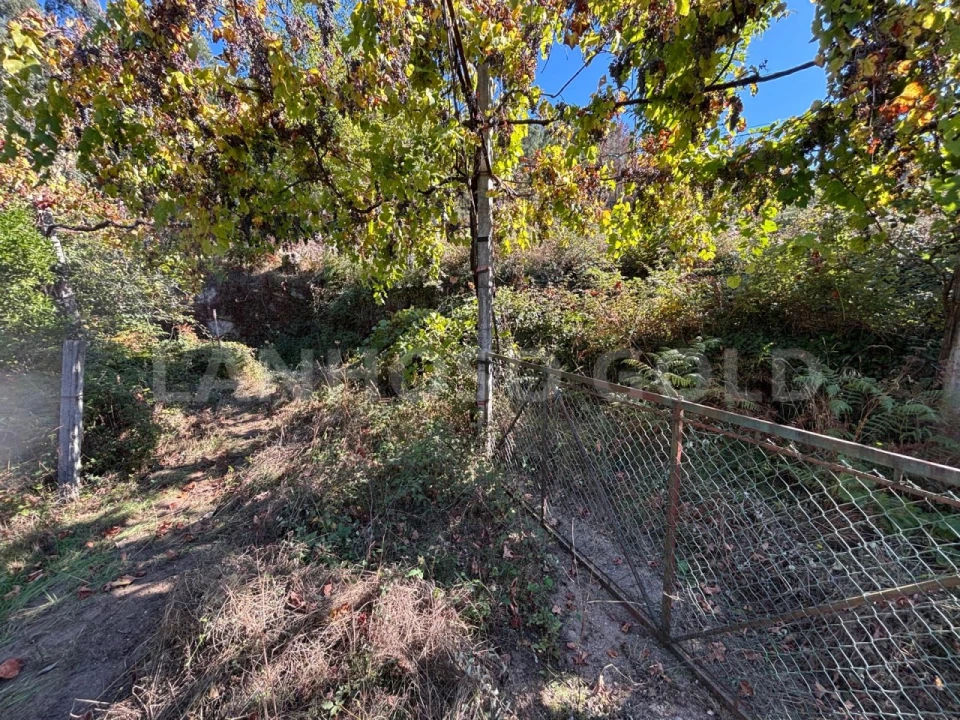 Terreno para Venda em Verim, Friande e Ajude Foto 22