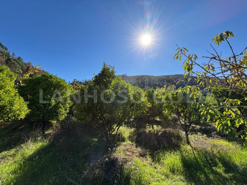 Terreno para Venda em Verim, Friande e Ajude Foto 24