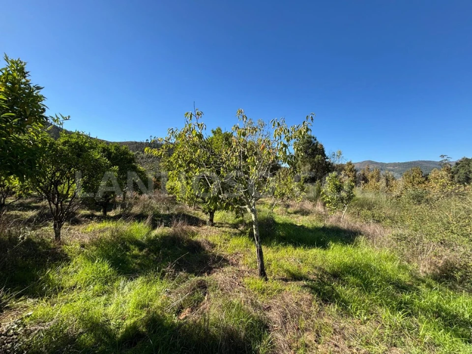 Terreno para Venda em Verim, Friande e Ajude Foto 31