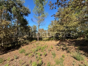 Terreno para Venda em Verim, Friande e Ajude