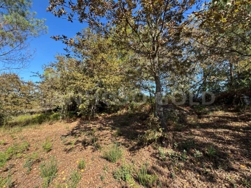 Terreno para Venda em Verim, Friande e Ajude