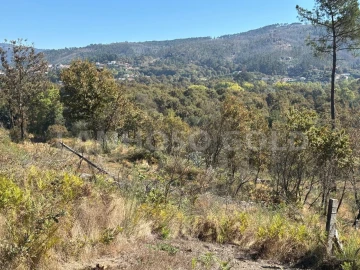 Terreno para Venda em Verim, Friande e Ajude
