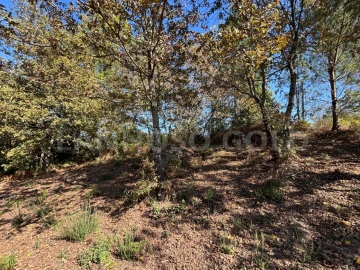 Terreno para Venda em Verim, Friande e Ajude