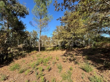 Terreno para Venda em Verim, Friande e Ajude