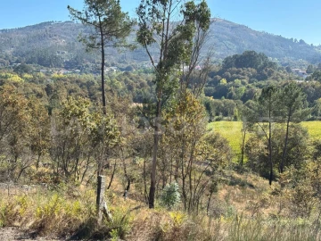Terreno para Venda em Verim, Friande e Ajude