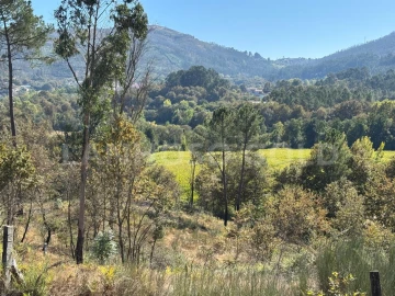 Terreno para Venda em Verim, Friande e Ajude