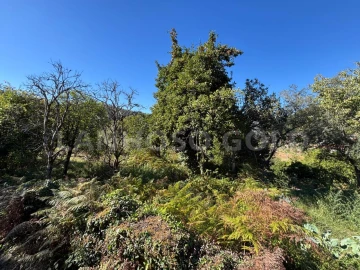 Terreno para Venda em Verim, Friande e Ajude