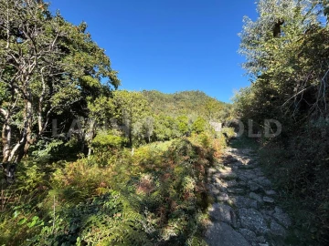 Terreno para Venda em Verim, Friande e Ajude